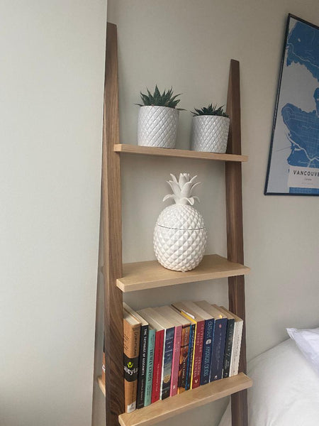 Ladder Book Shelf